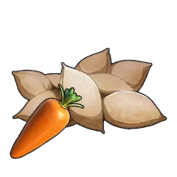 Carrot Seeds