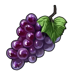 Grape