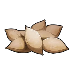 Potato (Seed)