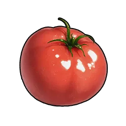 Tomato
