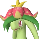Dinossom